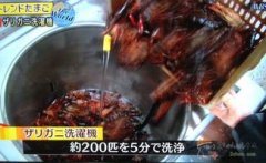 解析取不雅感分享剧情引见