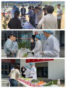 持续推进校园食物平安专项查抄步履